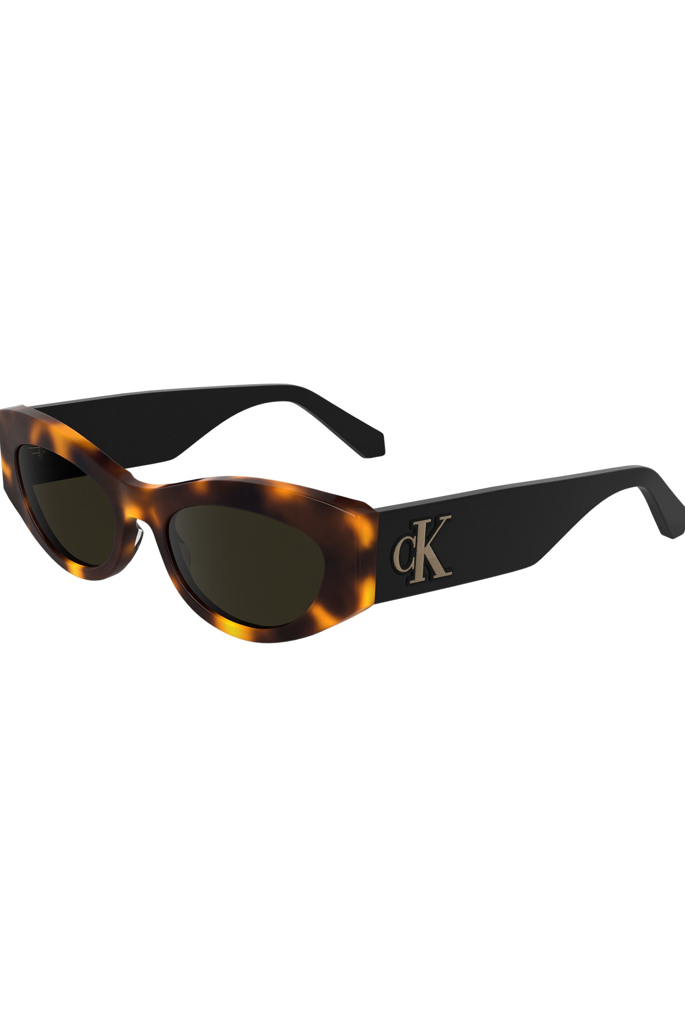 CALVIN KLEIN Women Sunglasses - Brown