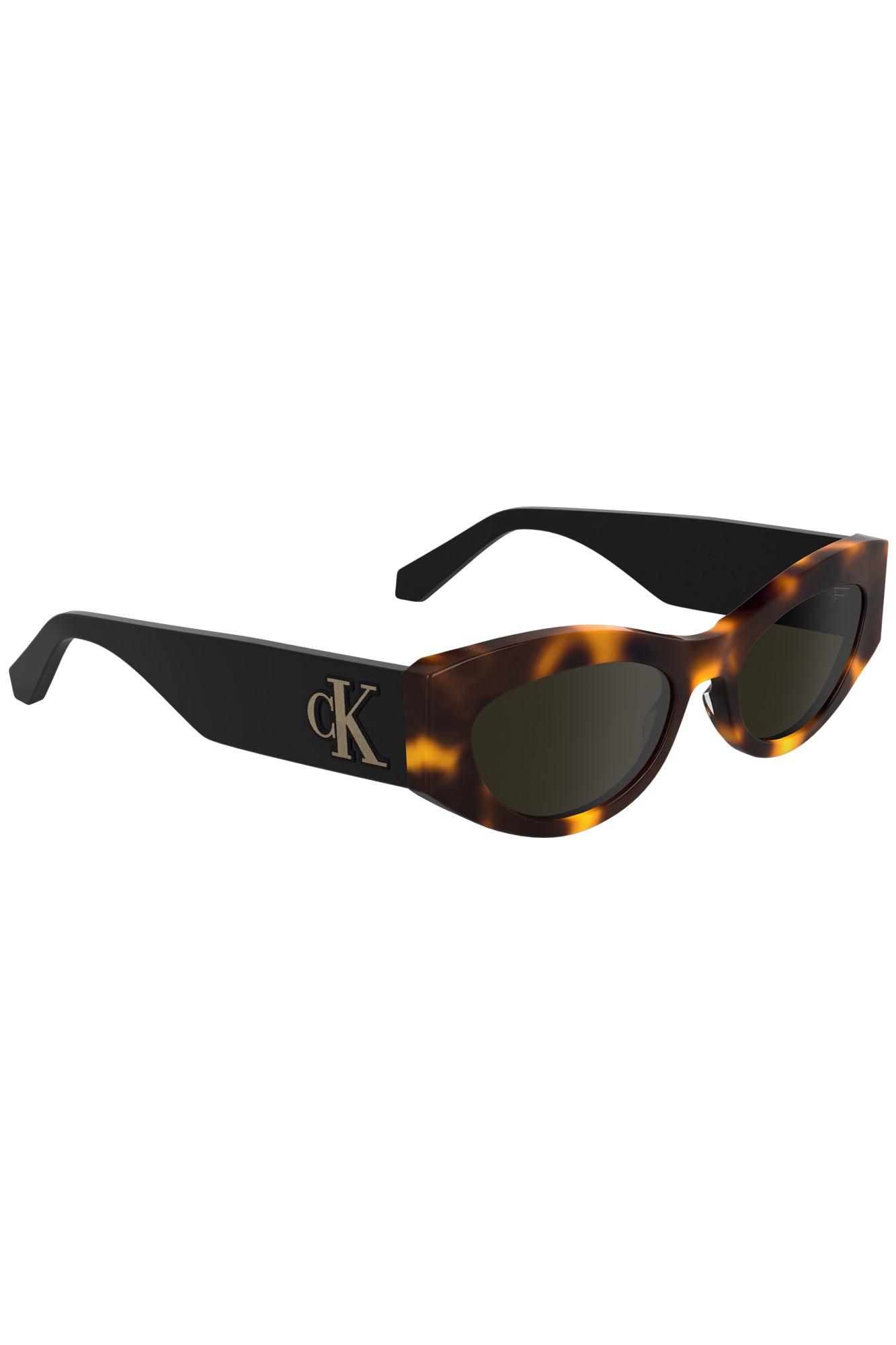 CALVIN KLEIN Women Sunglasses - Brown
