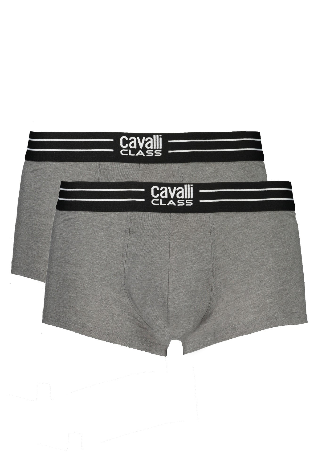CAVALLI CLASS Men Underwear - Grey