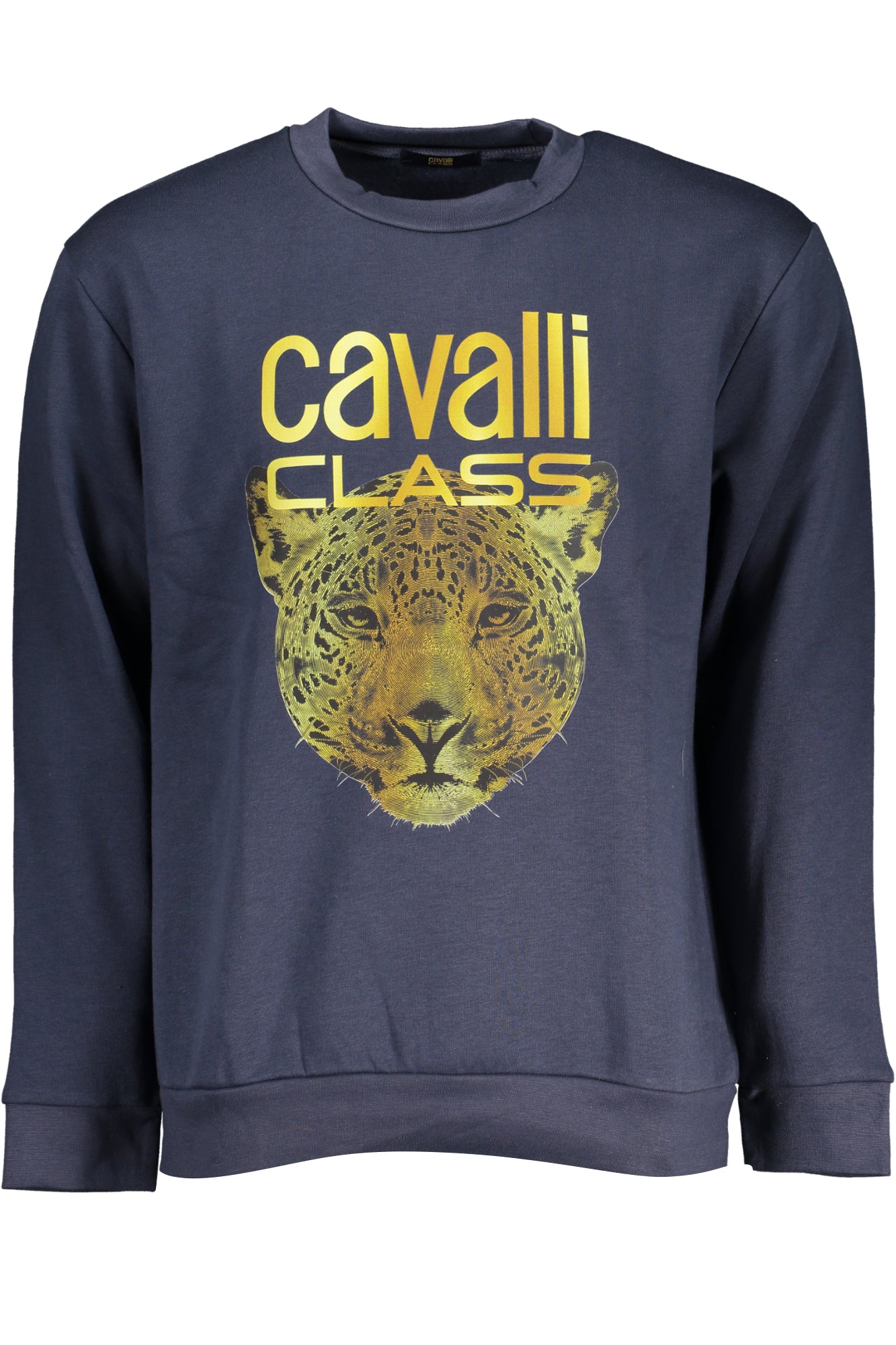 CAVALLI CLASS Men Hoodie