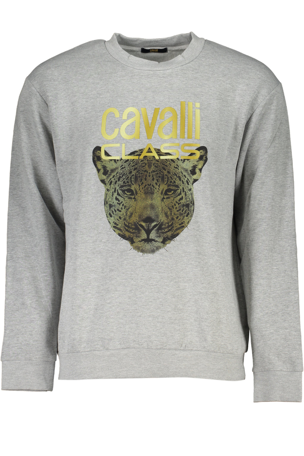 CAVALLI CLASS Men Hoodie - Grey