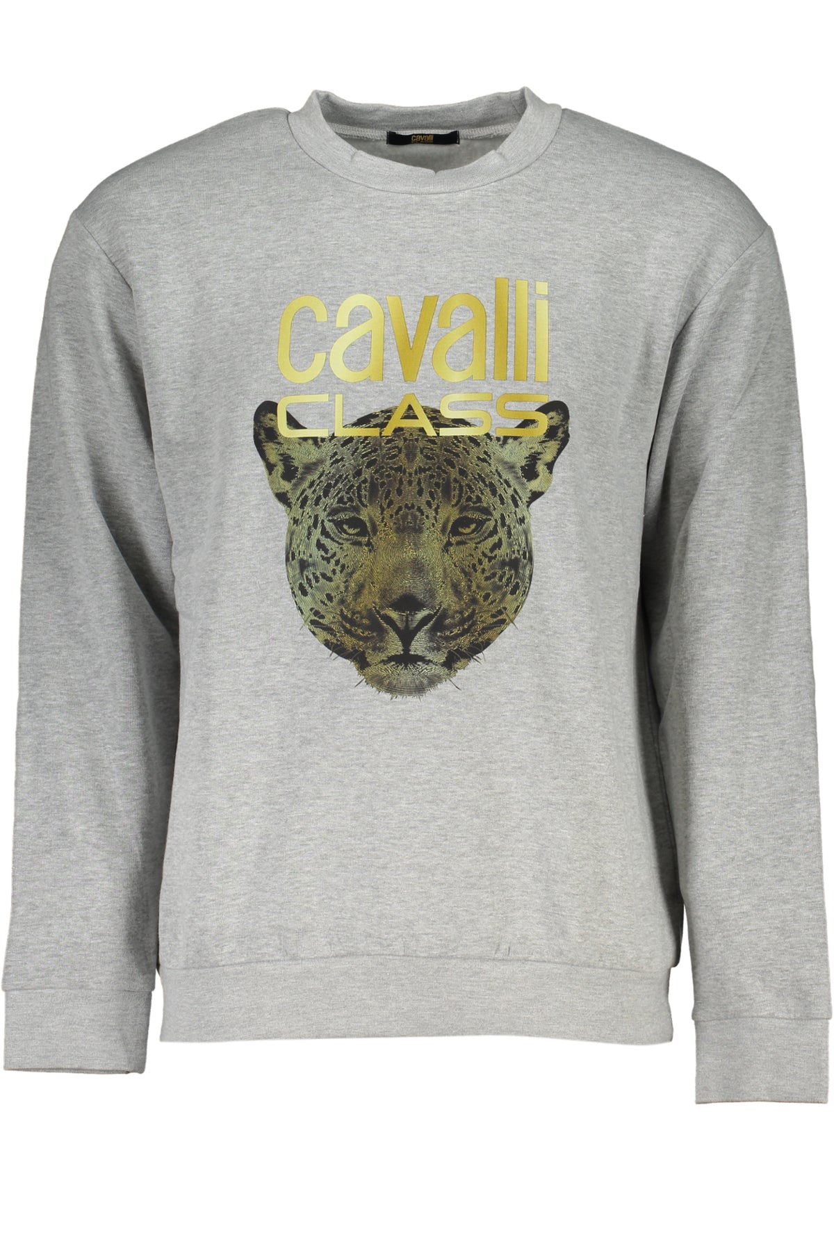 CAVALLI CLASS Men Hoodie - Grey