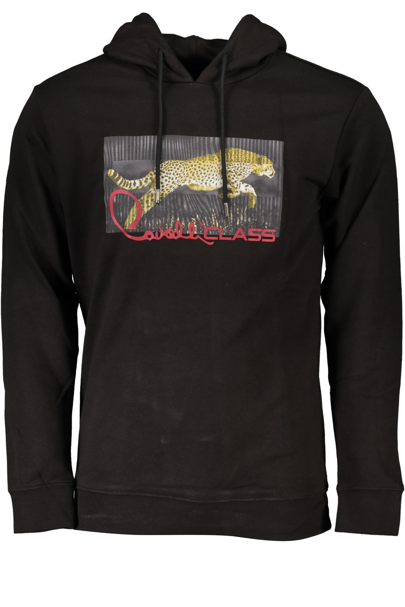 CAVALLI CLASS Men Hoodie