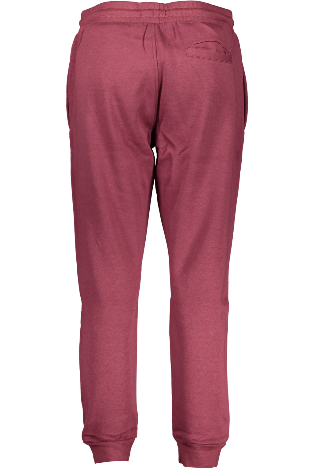 CAVALLI CLASS Women Joggers - Purple