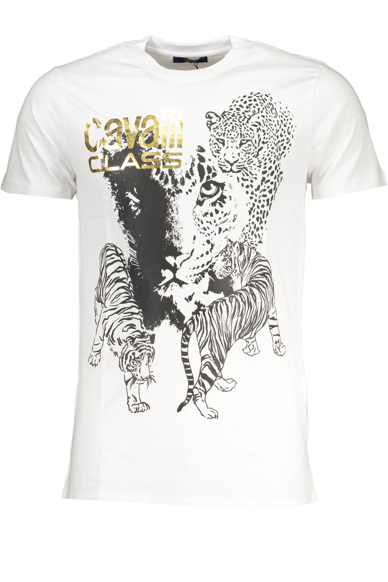 CAVALLI CLASS Men T-Shirt - White