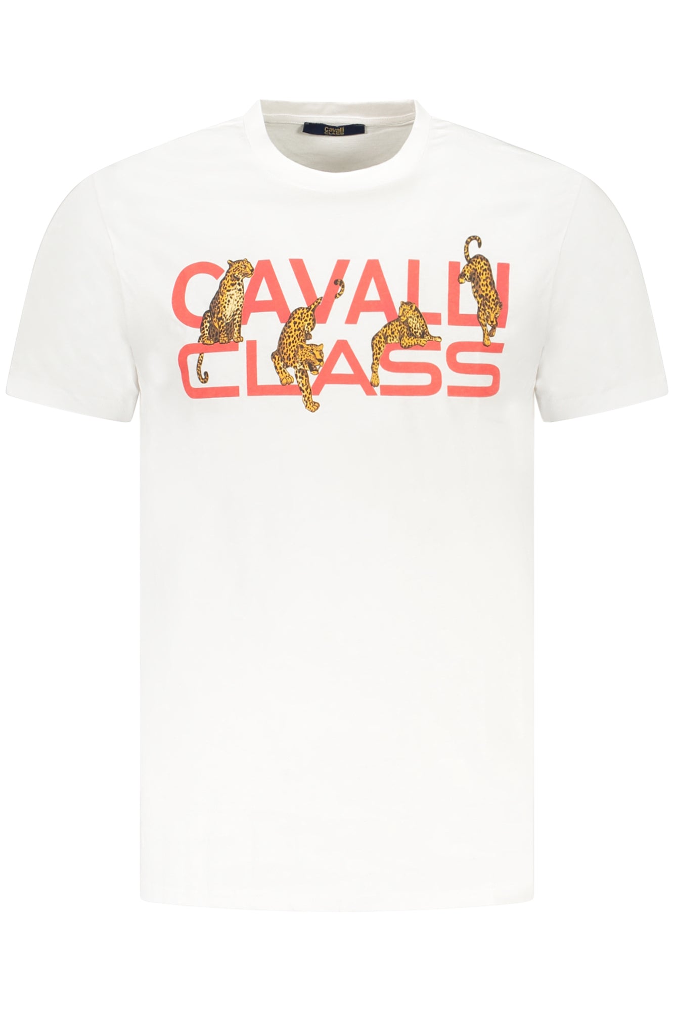 CAVALLI CLASS Men T-Shirt - White