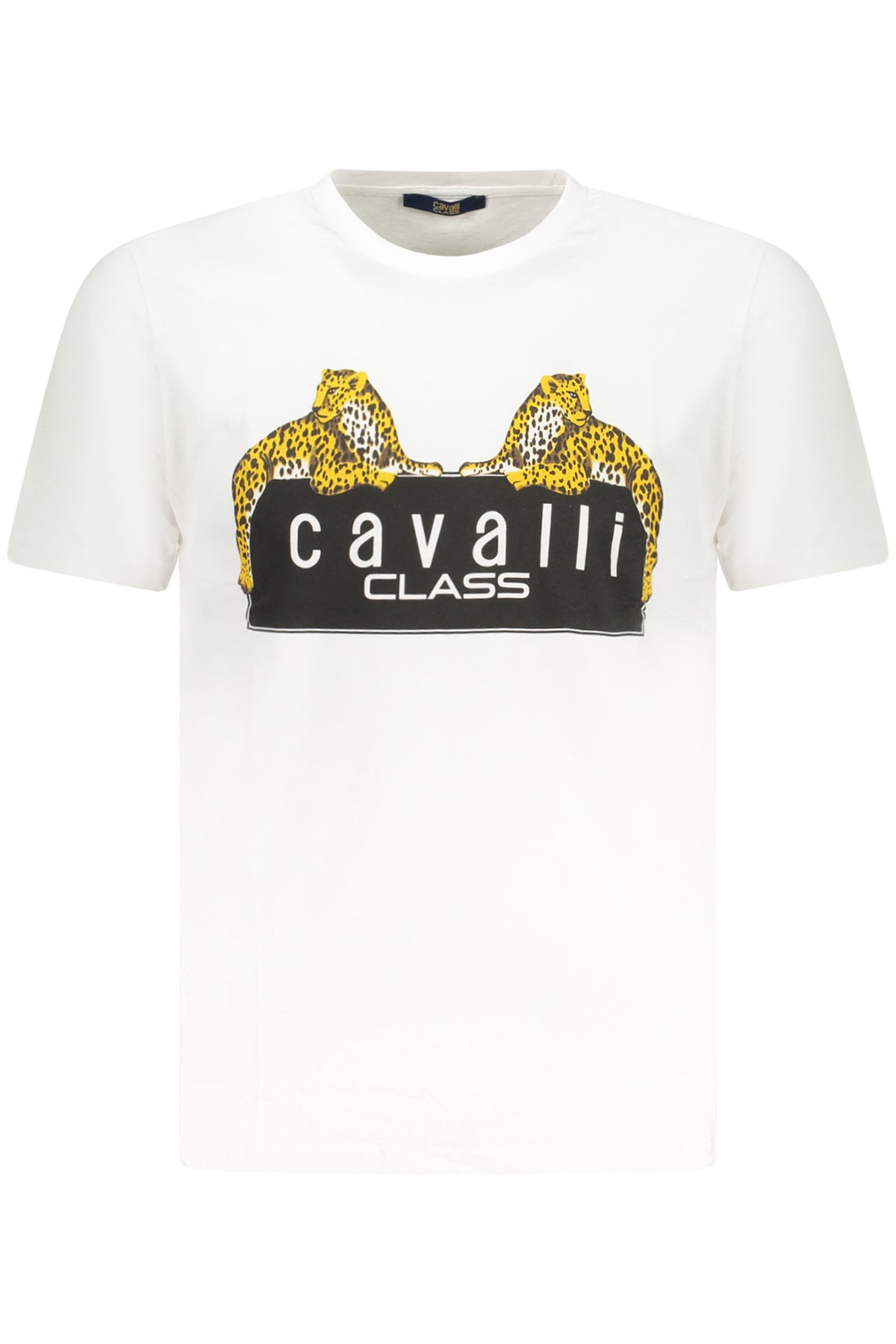 CAVALLI CLASS Men T-Shirt - White