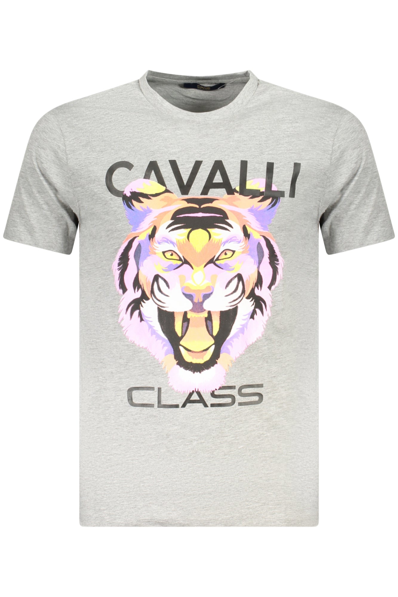 CAVALLI CLASS Men T-Shirt - Grey