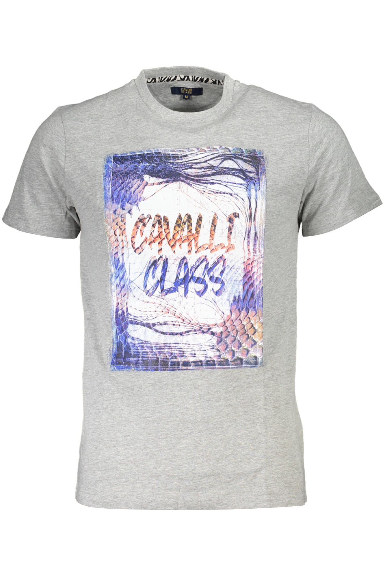 CAVALLI CLASS Men T-Shirt - Grey