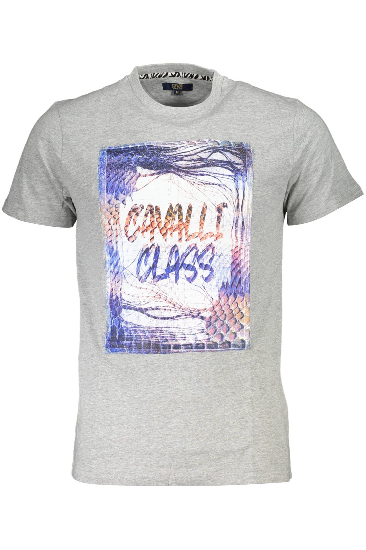 CAVALLI CLASS Men T-Shirt - Grey