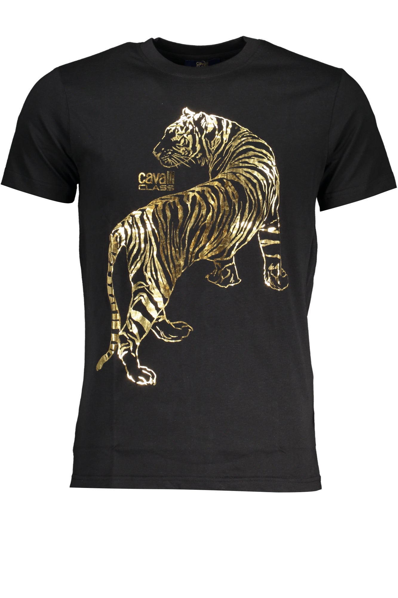 CAVALLI CLASS Men T-Shirt