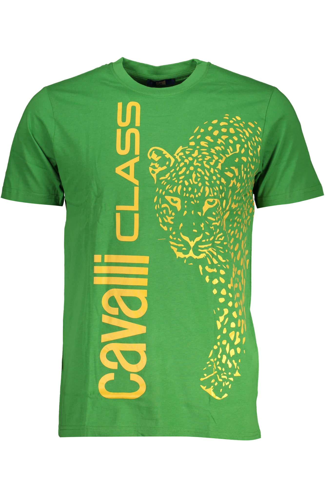 CAVALLI CLASS Men T-Shirt - Green