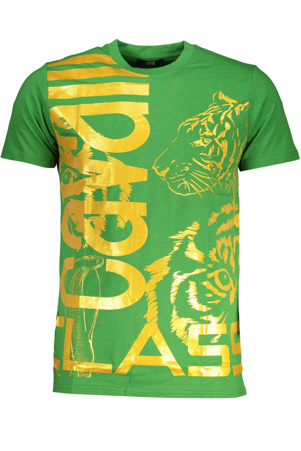CAVALLI CLASS Men T-Shirt - Green