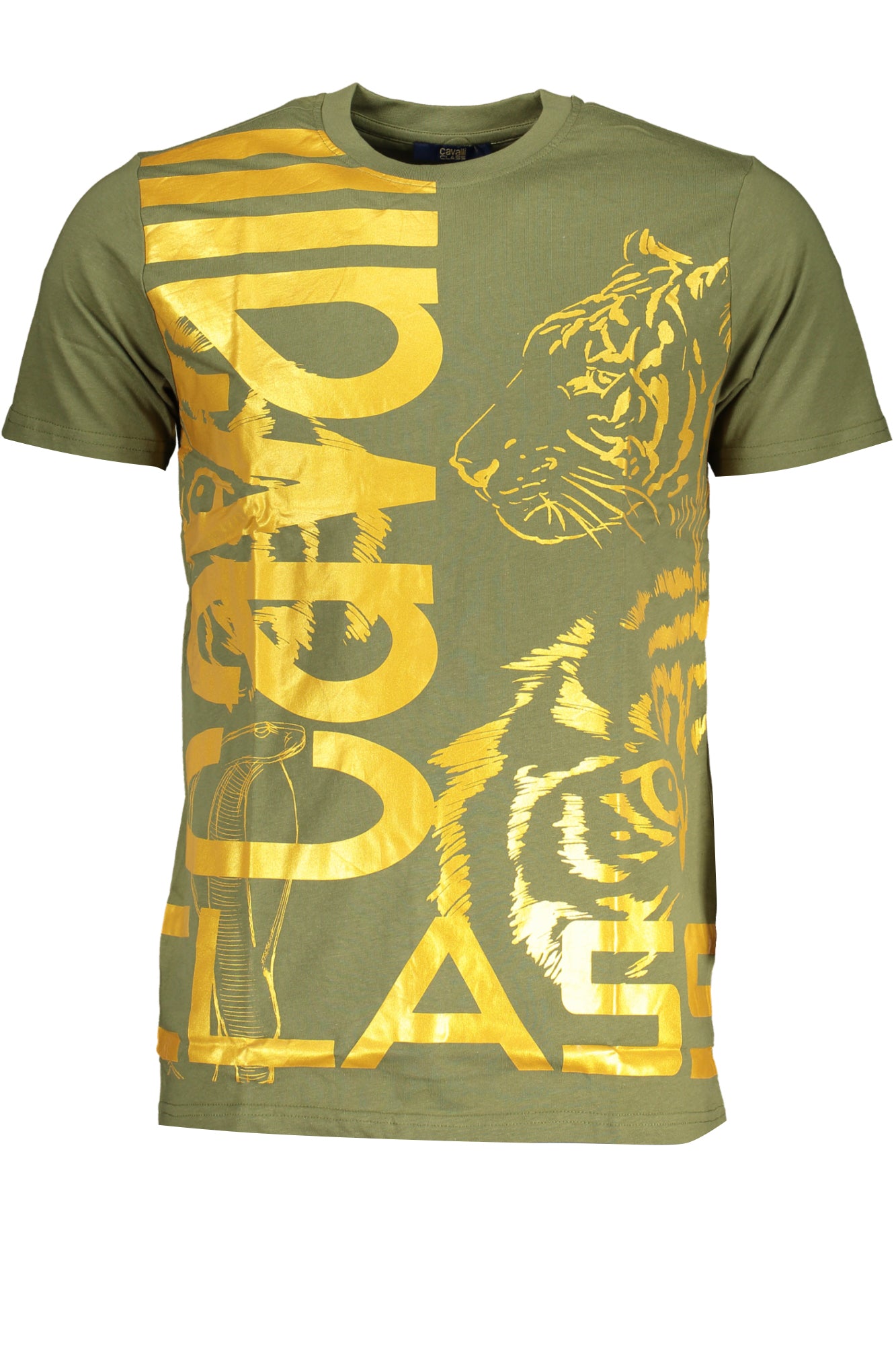 CAVALLI CLASS Men T-Shirt - Green