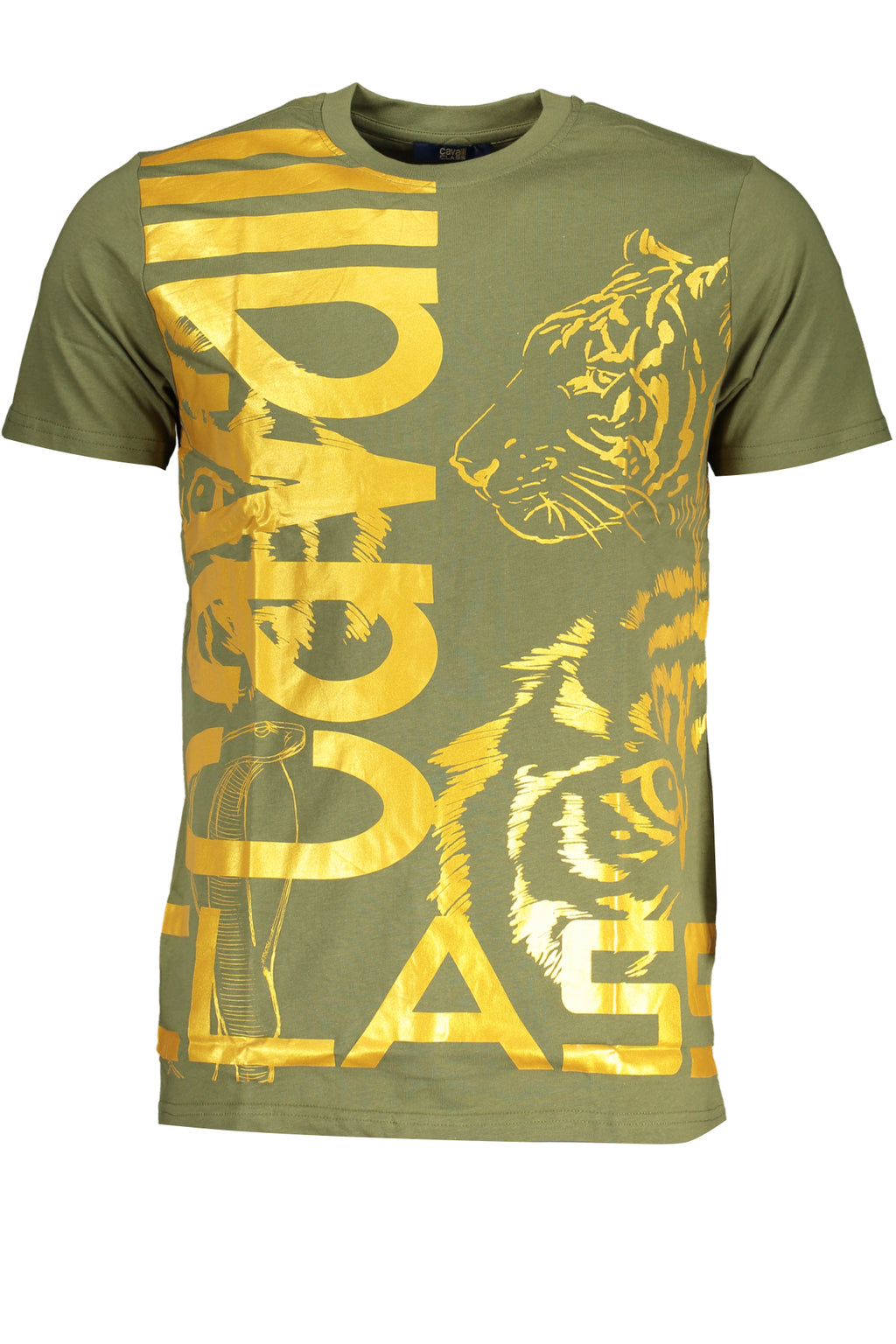 CAVALLI CLASS Men T-Shirt - Green