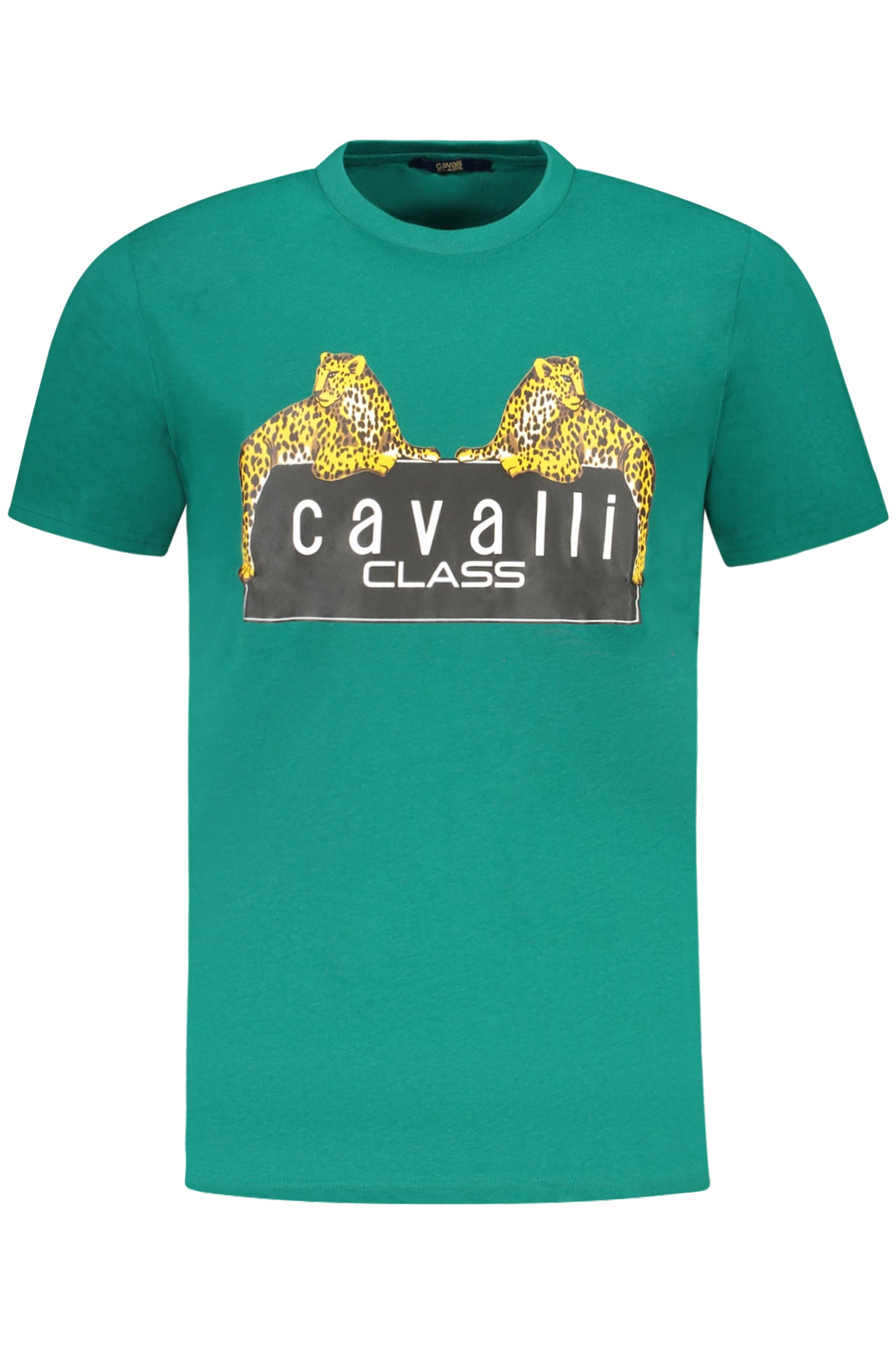 CAVALLI CLASS Men T-Shirt - Green