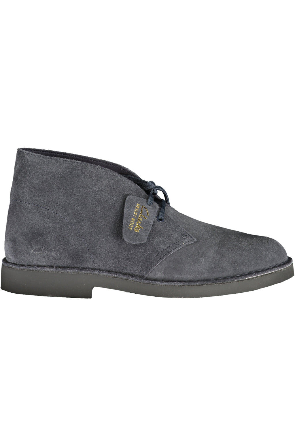 CLARKS Men Boots - Blue