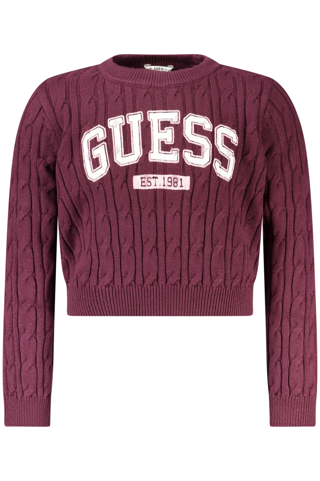 GUESS  Jumper - Purple