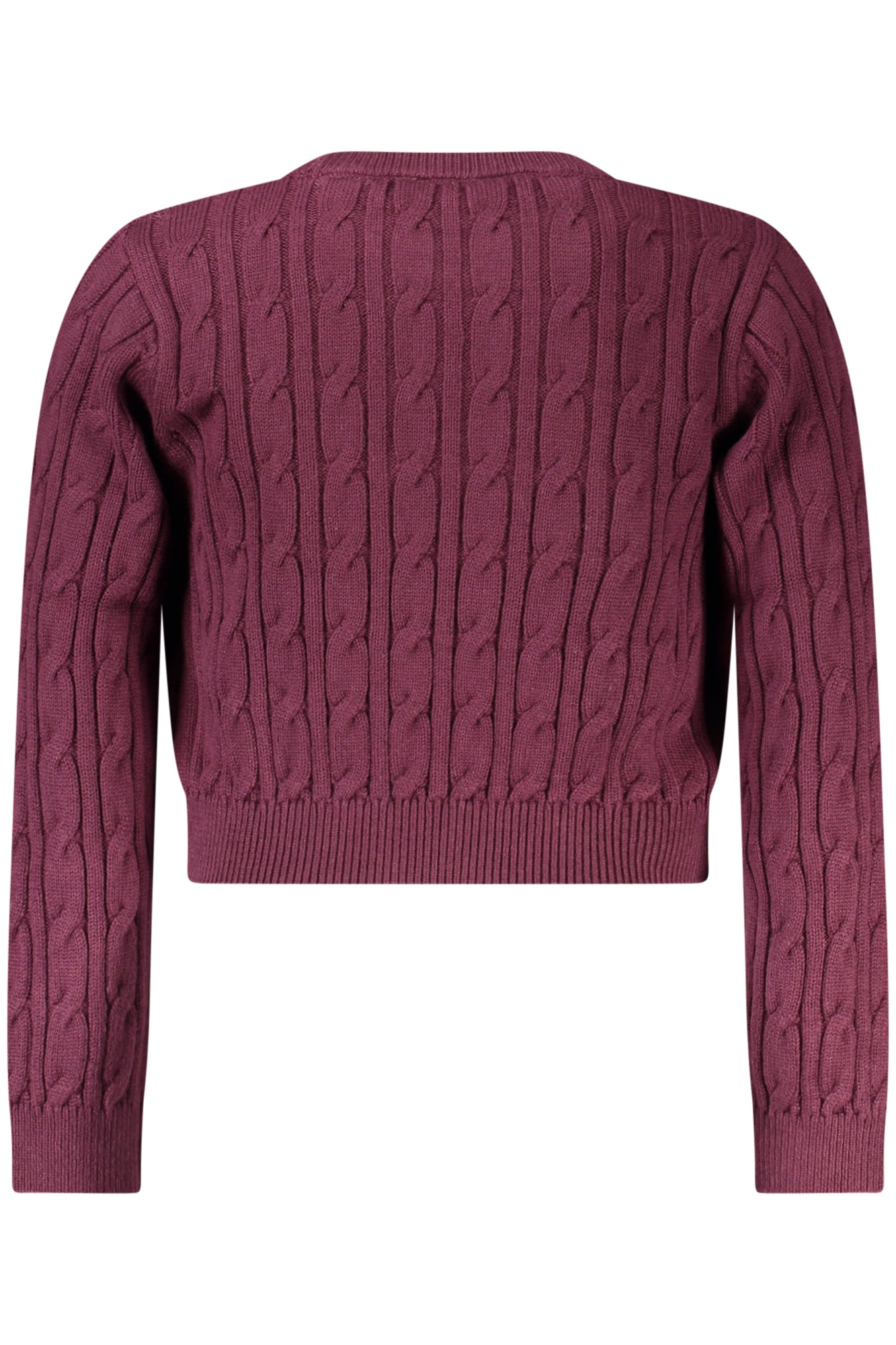 GUESS  Jumper - Purple