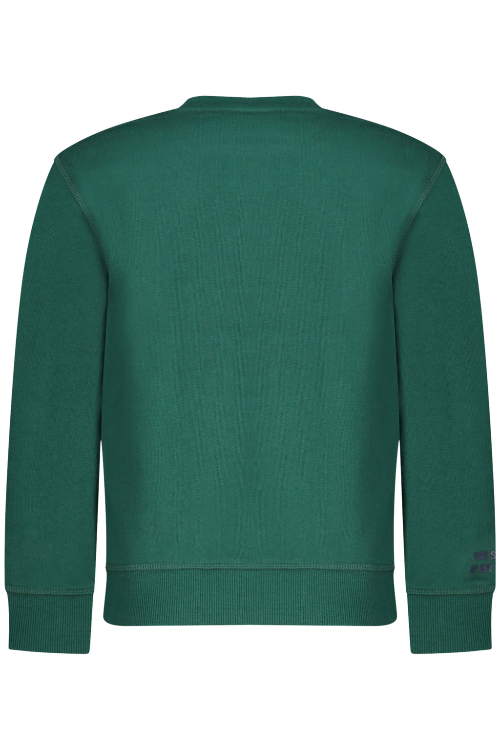 NORTH SAILS  Hoodie - Green