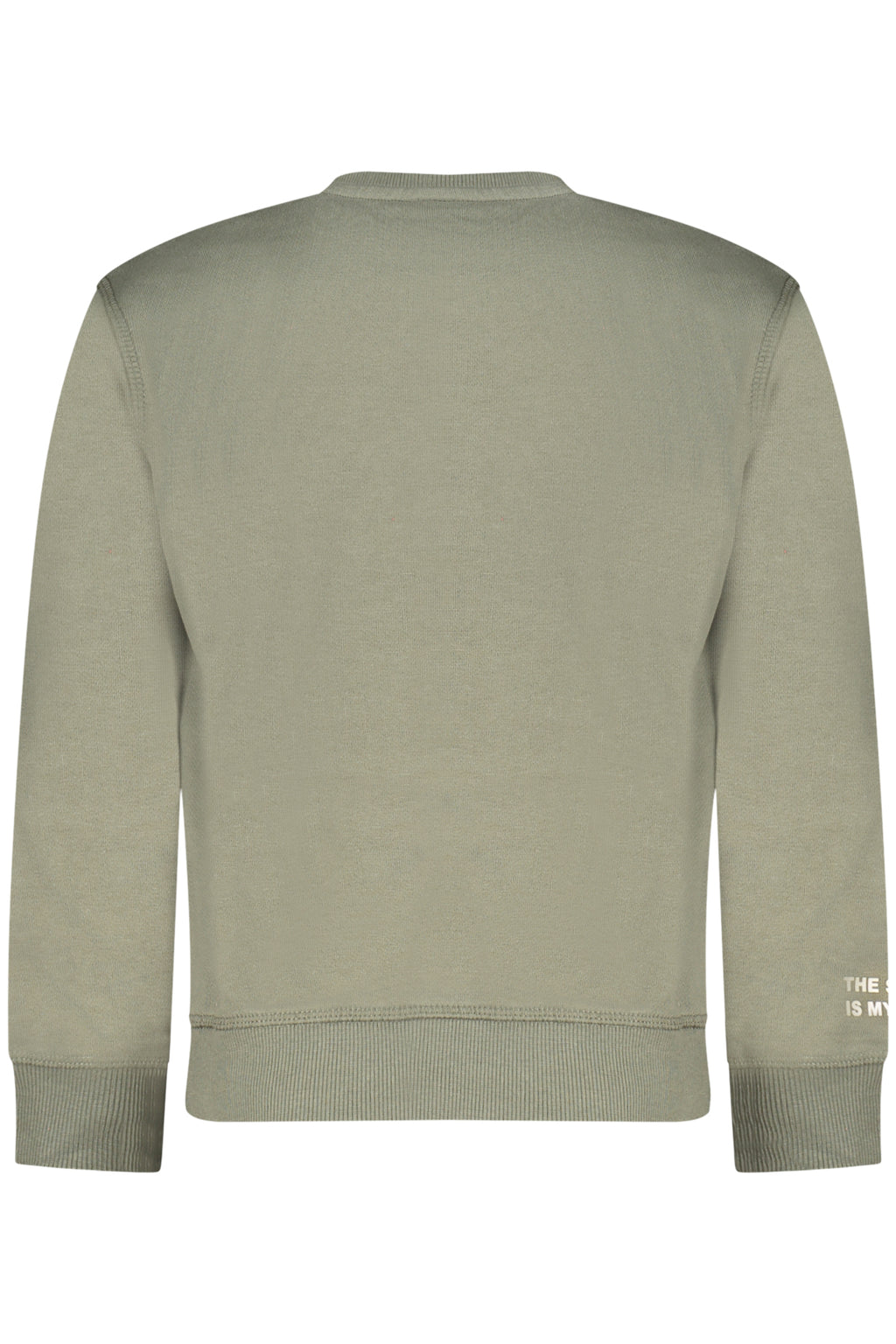 NORTH SAILS  Hoodie - Green