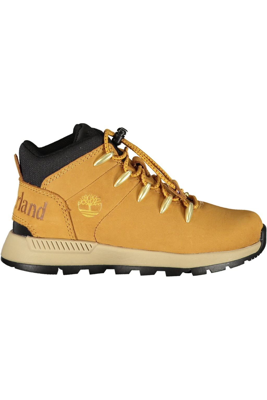 TIMBERLAND  Sneakers - Brown