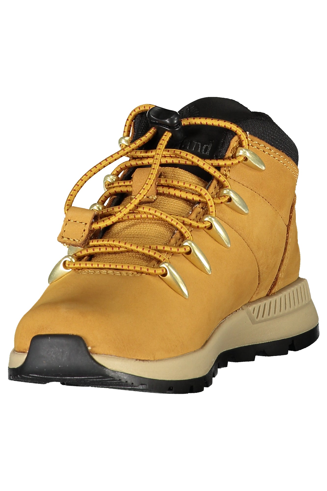 TIMBERLAND  Sneakers - Brown