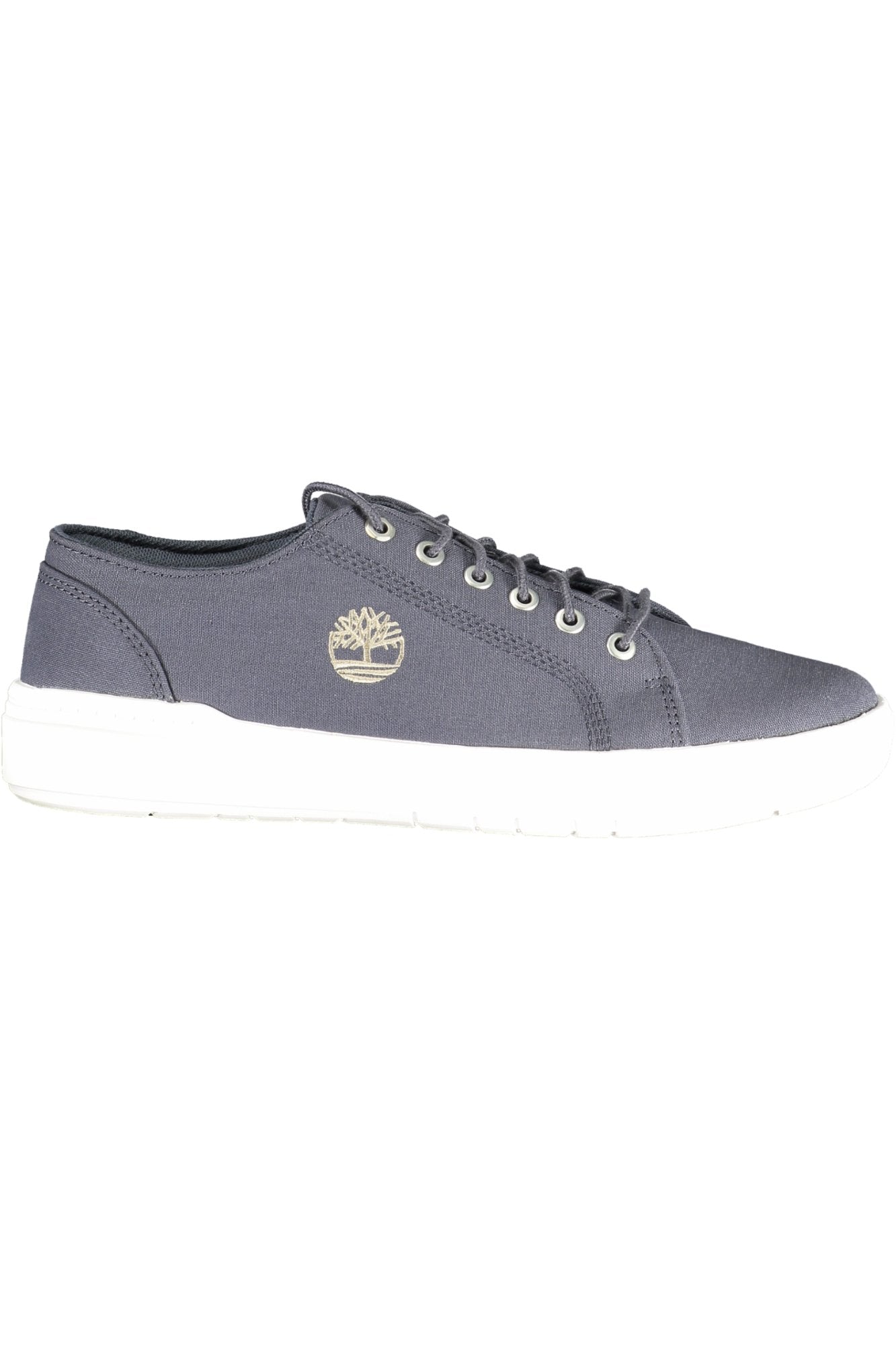 TIMBERLAND Men Sneakers - Blue