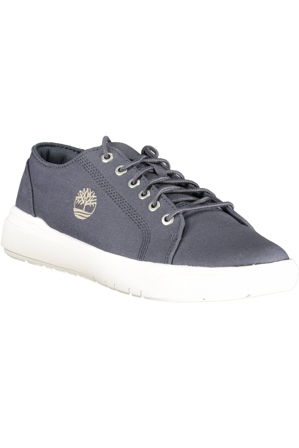 TIMBERLAND Men Sneakers - Blue