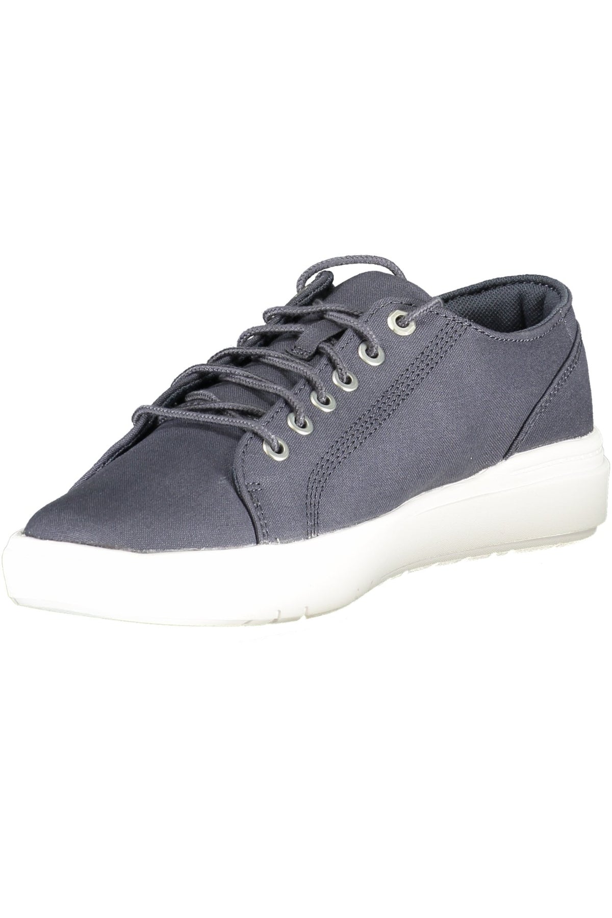 TIMBERLAND Men Sneakers - Blue