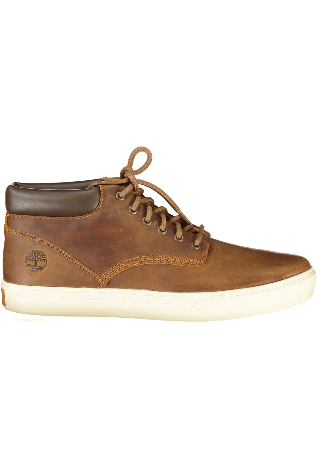 TIMBERLAND Men Sneakers - Brown