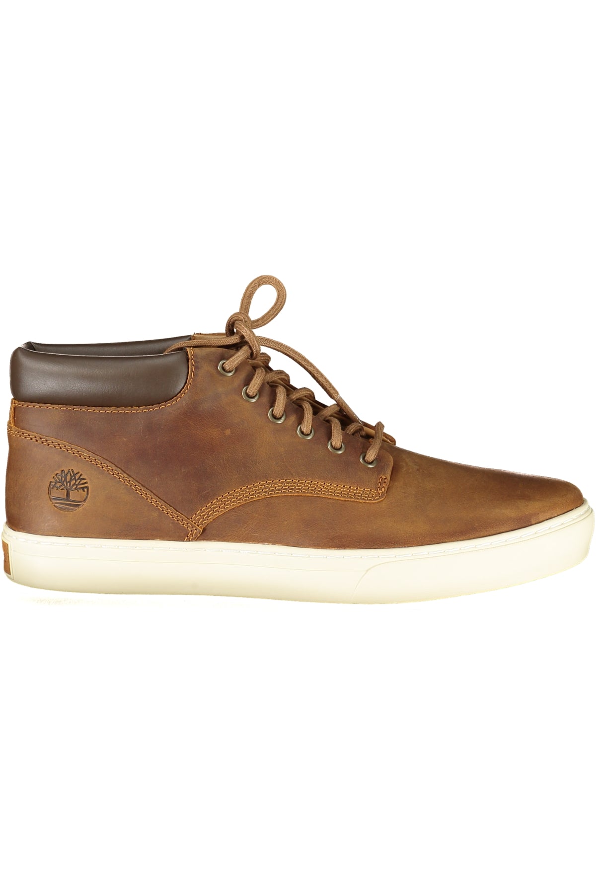 TIMBERLAND Men Sneakers - Brown