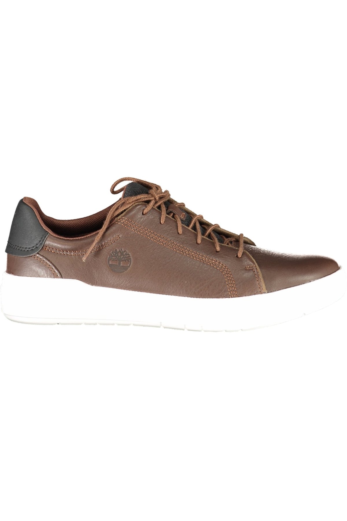 TIMBERLAND Men Sneakers - Brown