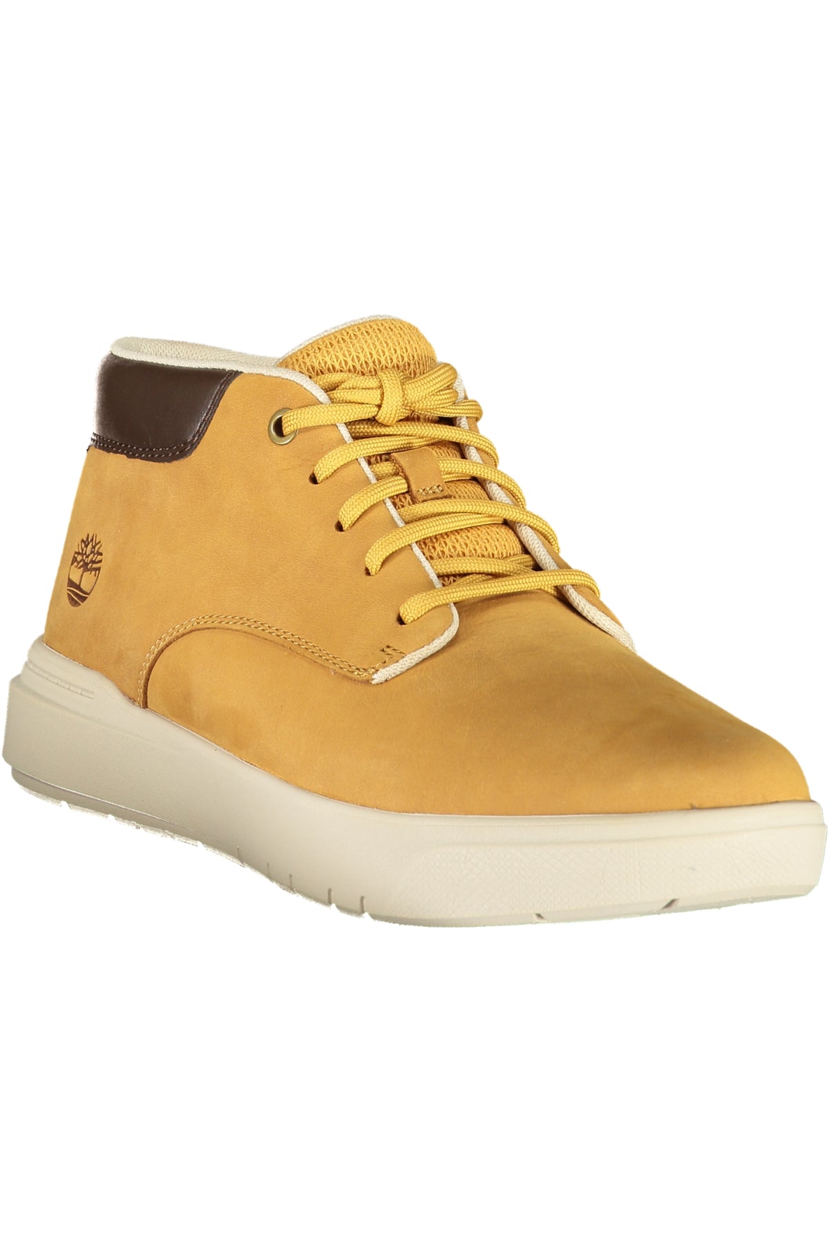 TIMBERLAND Men Sneakers - Brown