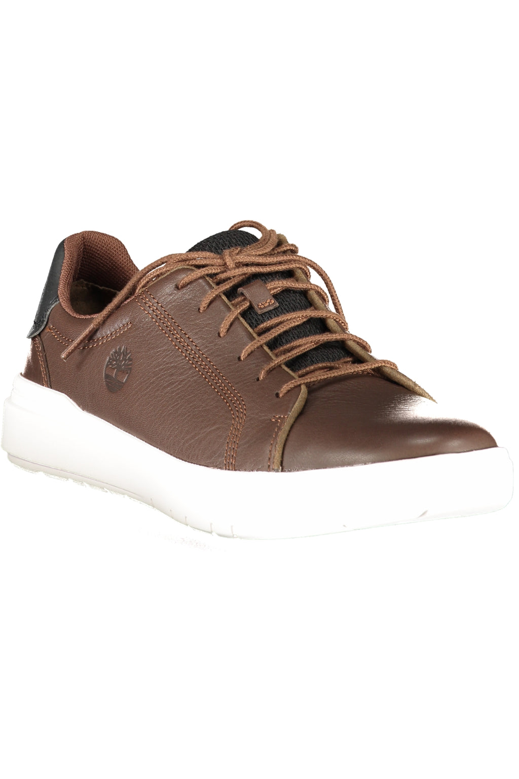 TIMBERLAND Men Sneakers - Brown
