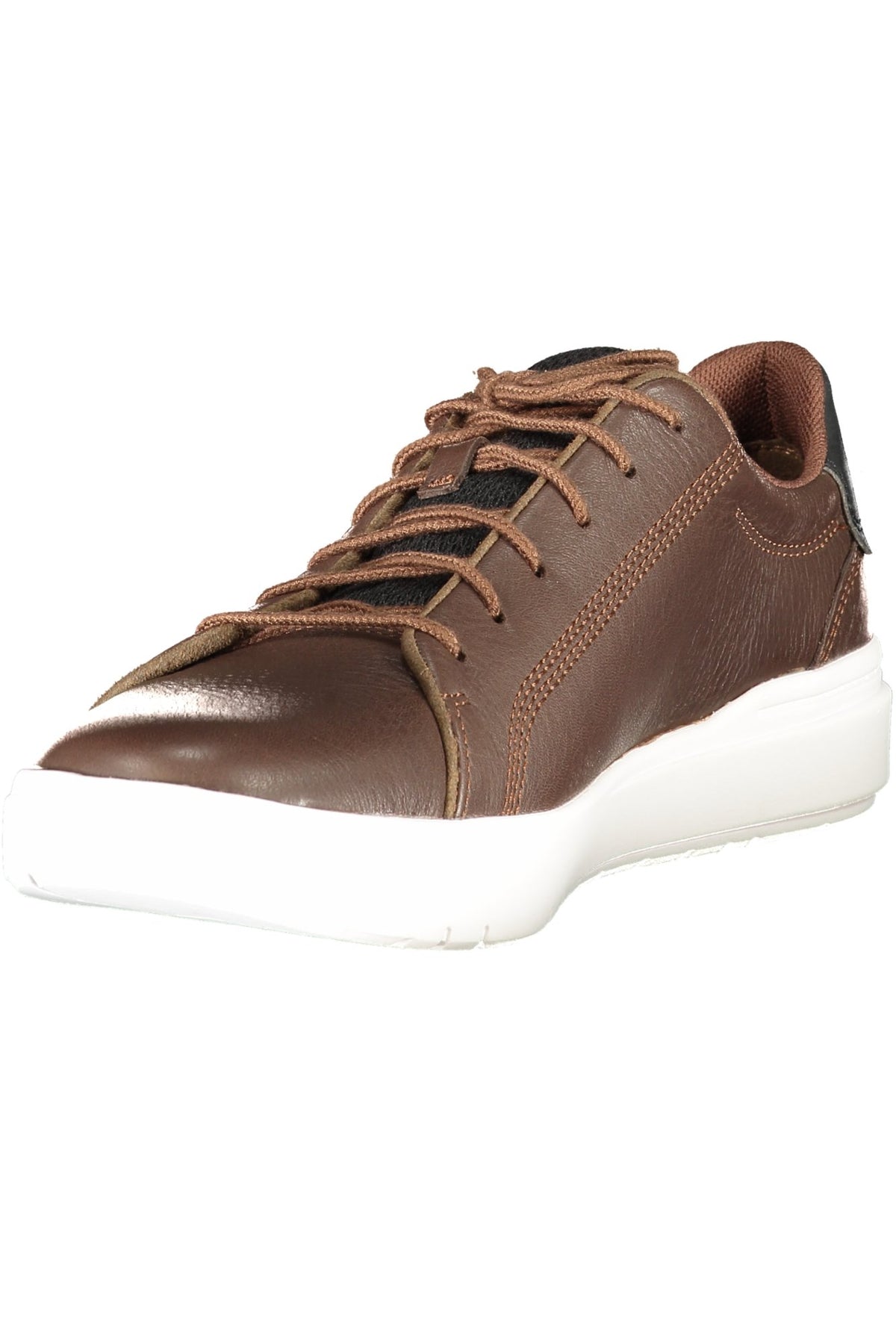 TIMBERLAND Men Sneakers - Brown