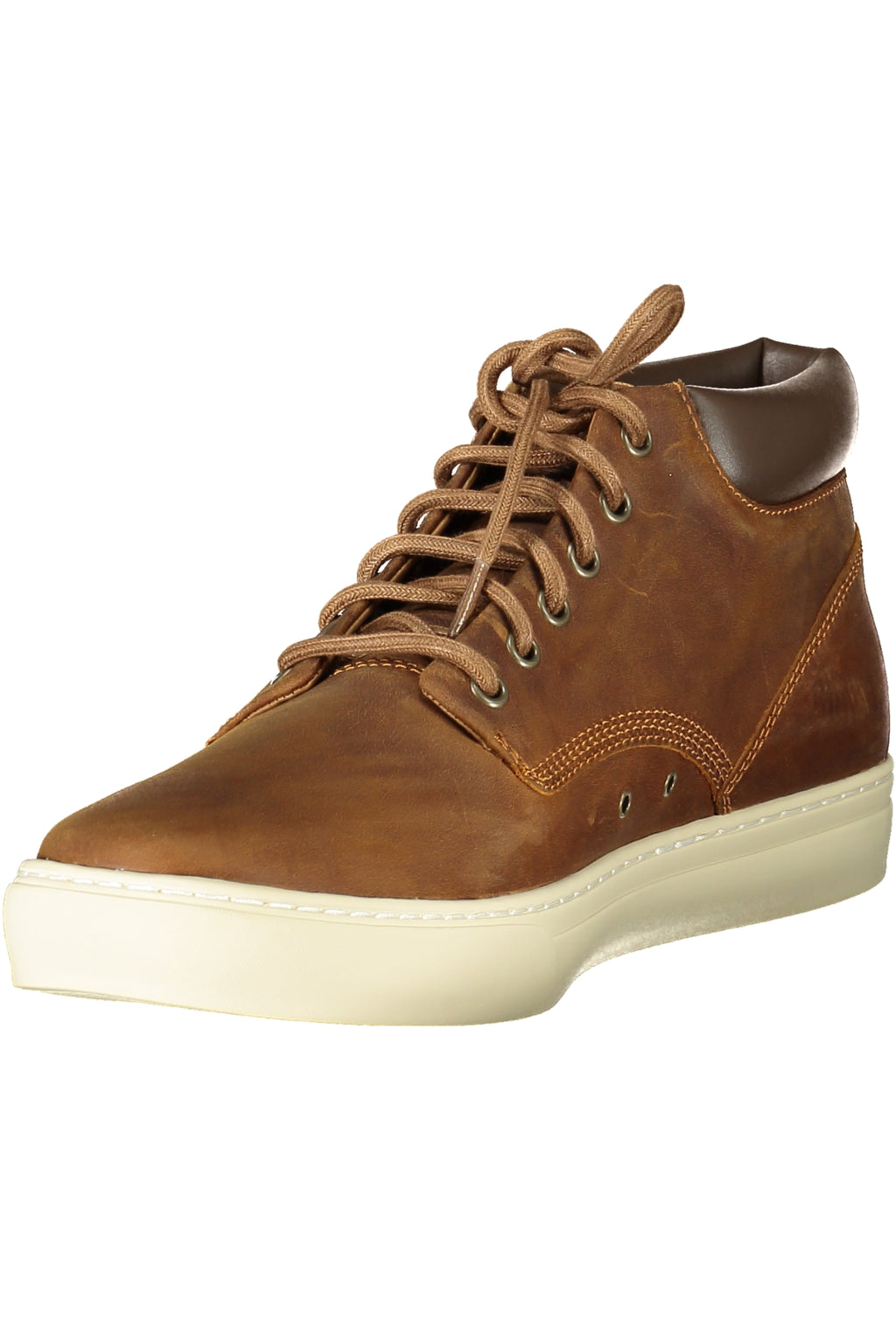 TIMBERLAND Men Sneakers - Brown