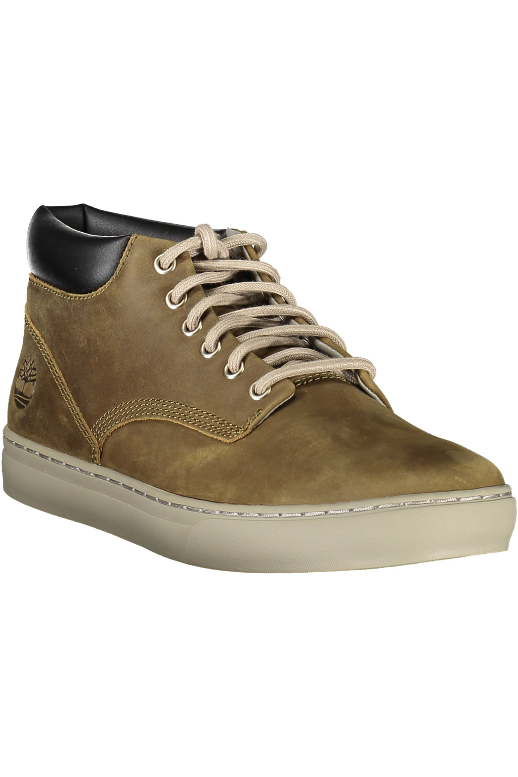 TIMBERLAND Men Sneakers - Green