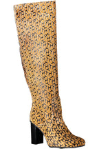 TOMMY HILFIGER Women Boots - Beige