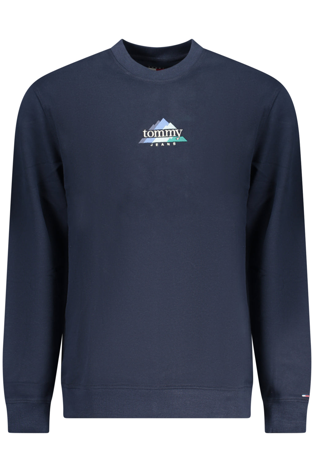 TOMMY HILFIGER Men Hoodie - Blue