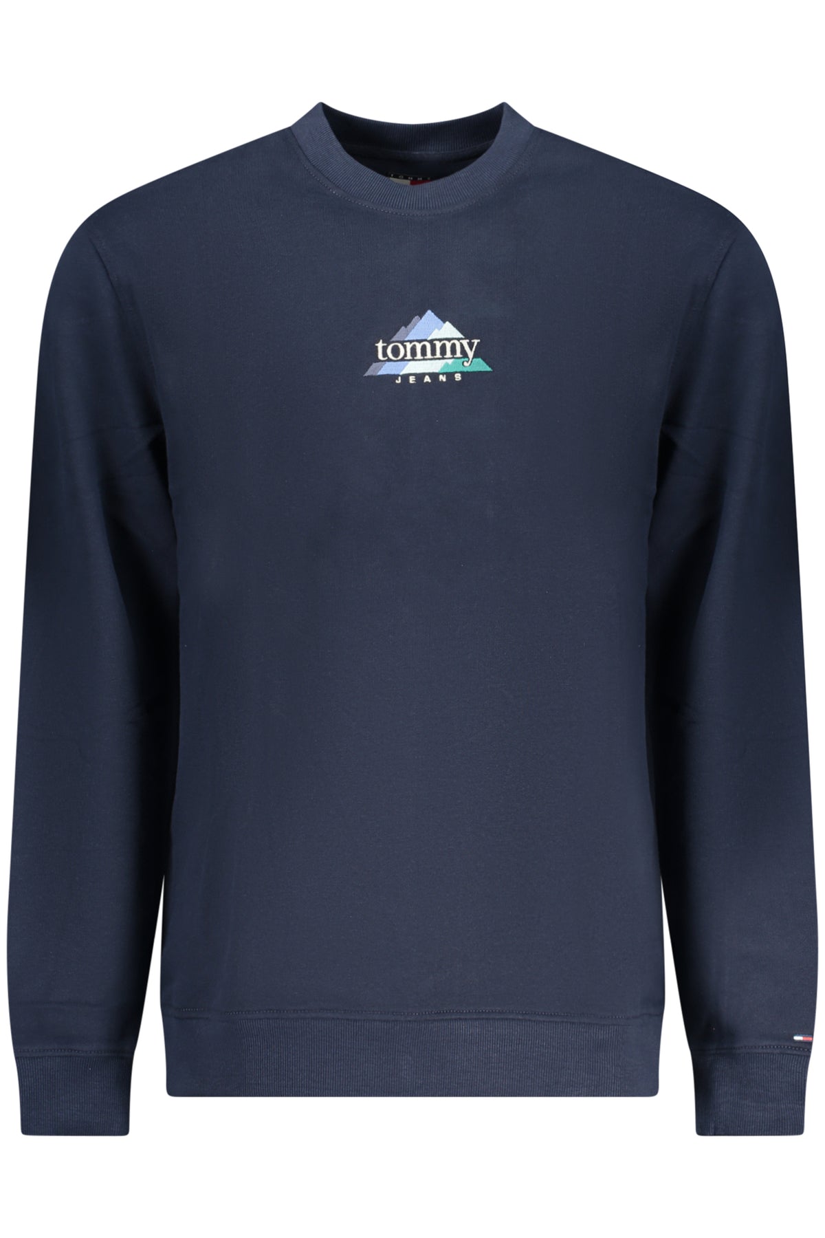 TOMMY HILFIGER Men Hoodie - Blue
