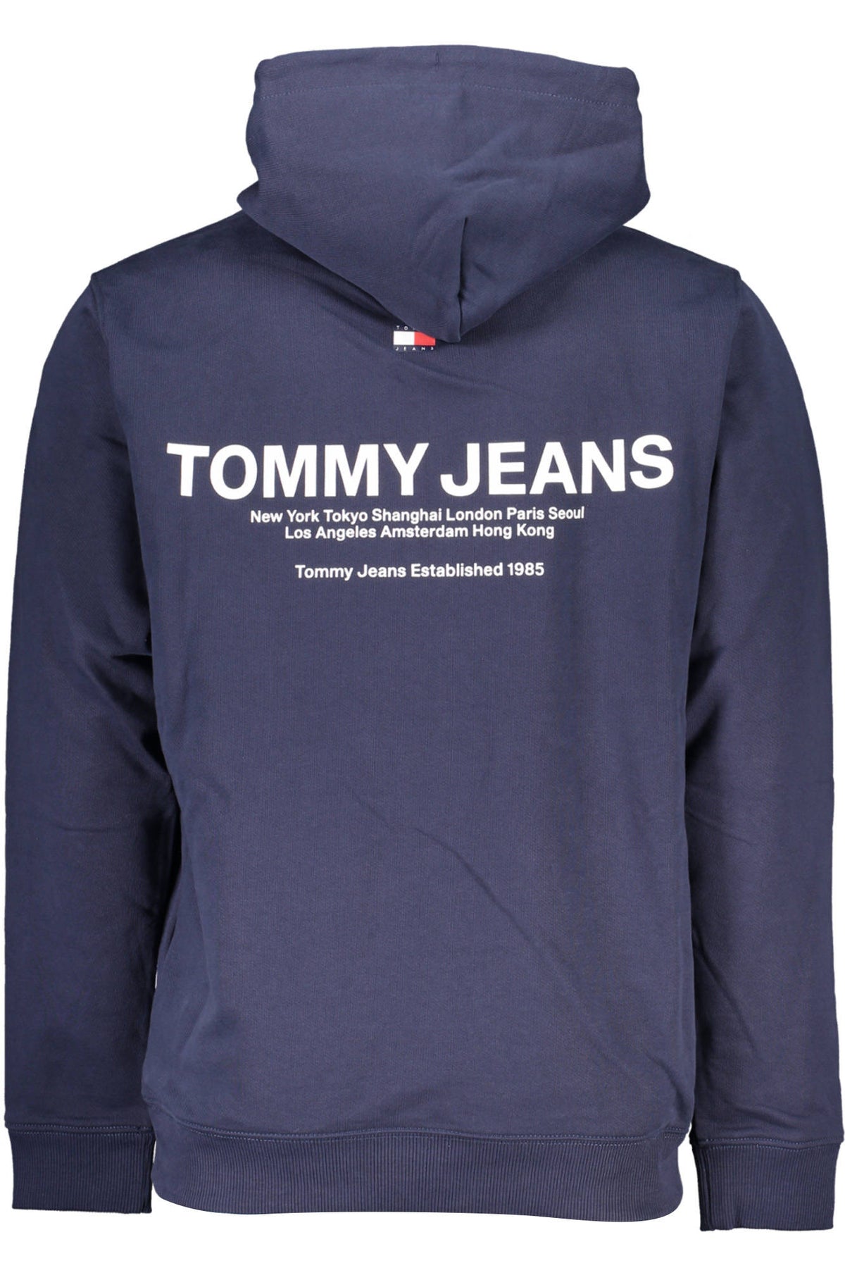 TOMMY HILFIGER Men Hoodie - Blue