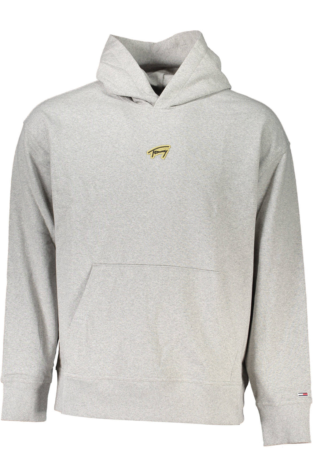 TOMMY HILFIGER Men Hoodie - Grey
