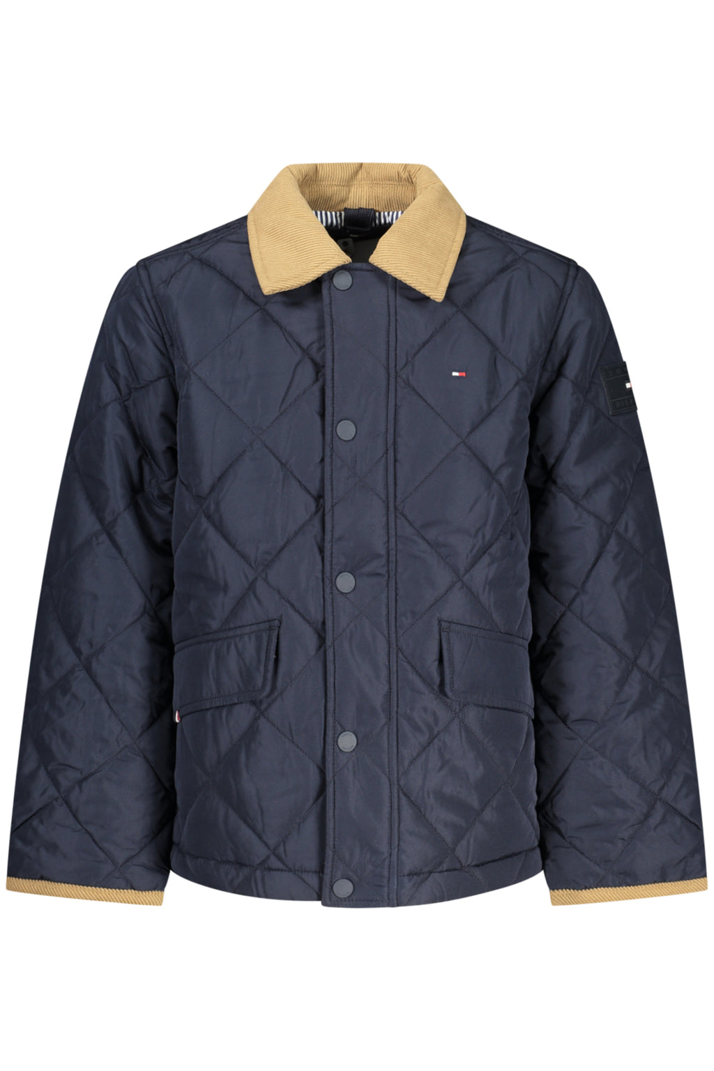 TOMMY HILFIGER  Jacket - Blue