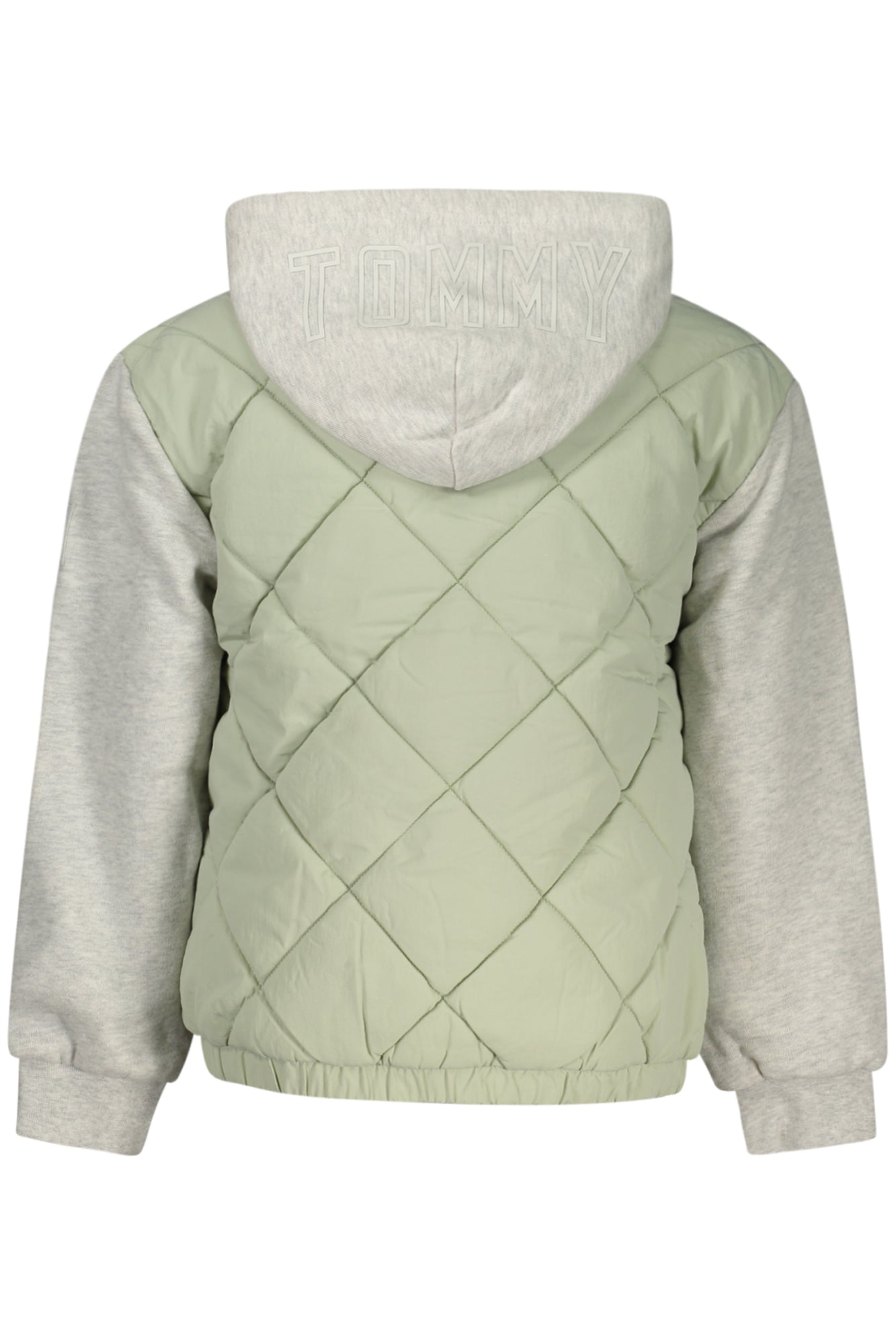 TOMMY HILFIGER  Jacket - Green