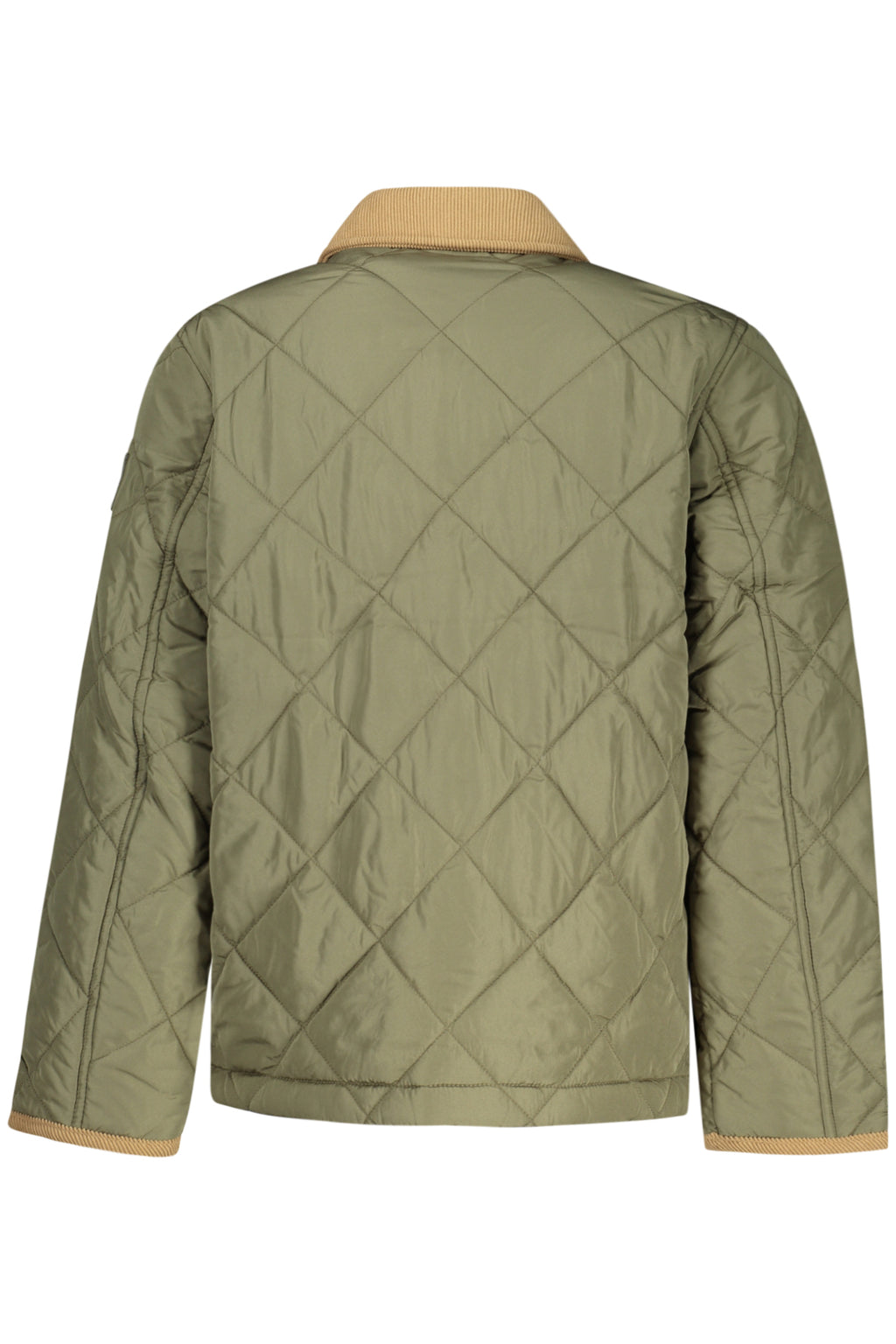 TOMMY HILFIGER  Jacket - Green