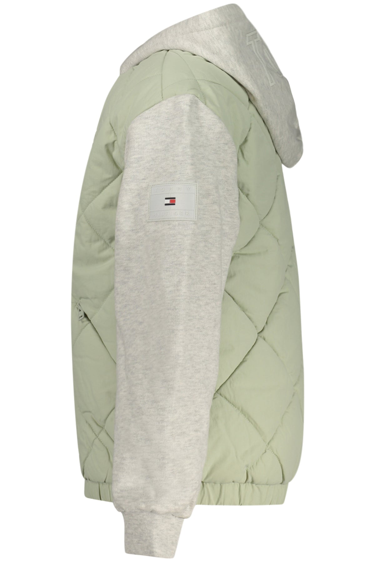 TOMMY HILFIGER  Jacket - Green