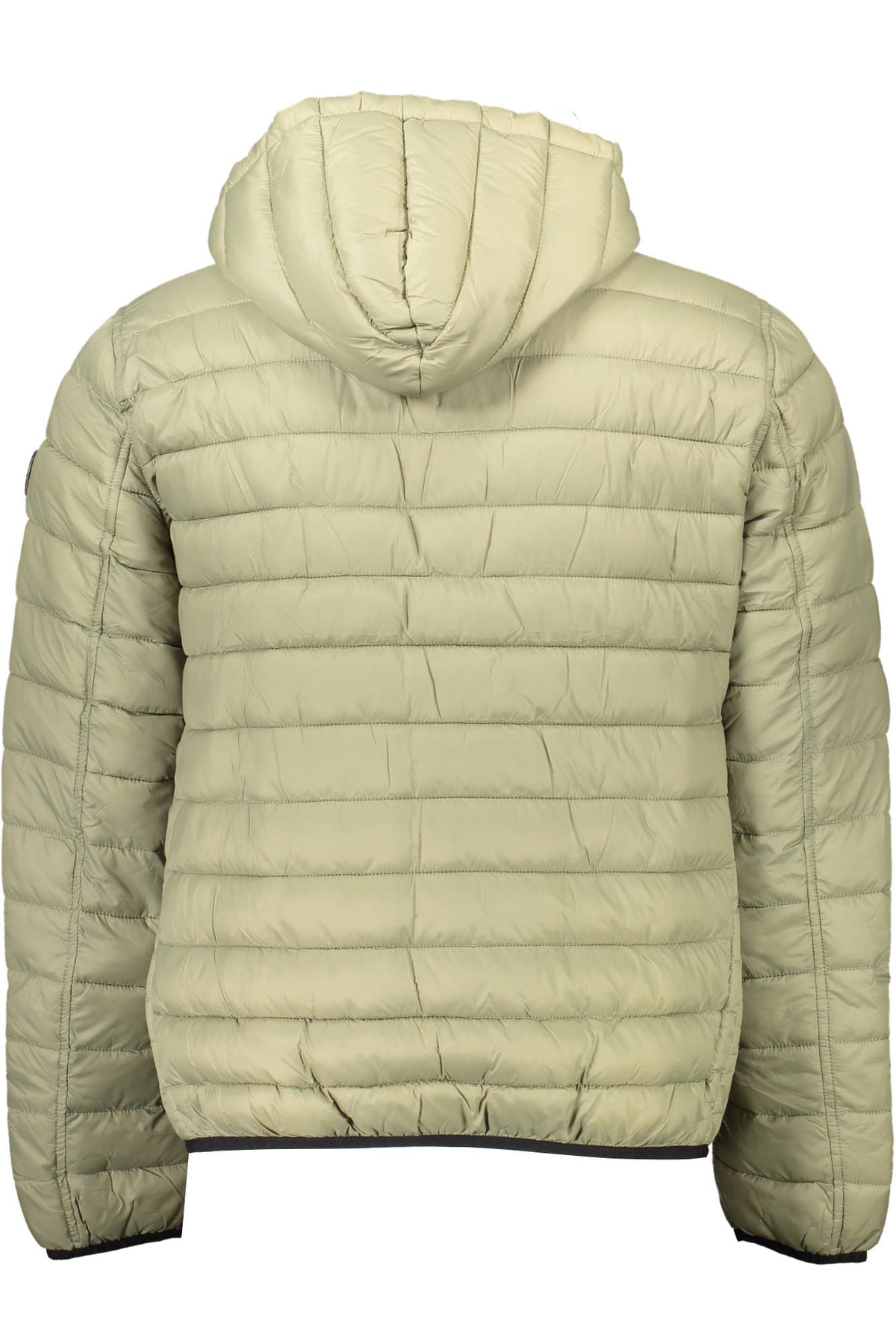 U.S. POLO ASSN. Men Jacket - Green