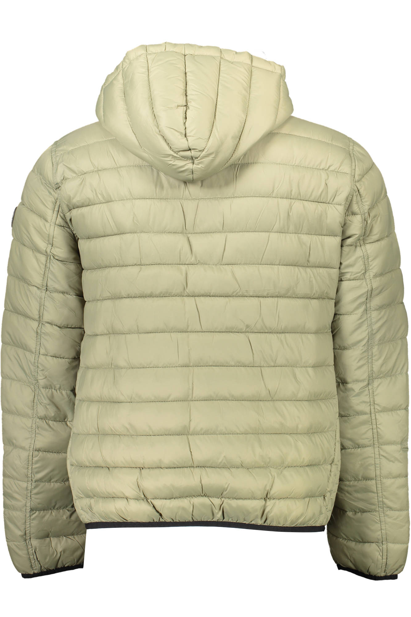 U.S. POLO ASSN. Men Jacket - Green