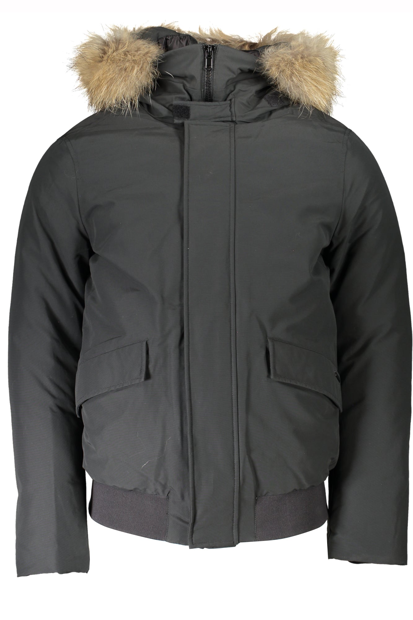 WOOLRICH Men Jacket - Grey
